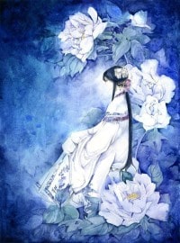 白富美的上门女婿